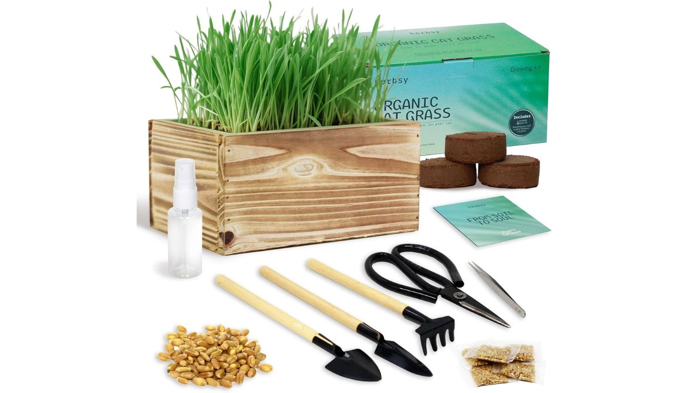Catit Senses 2.0 Grass Planter, organic cat grass growing kit with wooden planter, gardening tools, soil discs, seeds, and accessories arranged beside a green Herbsy box.