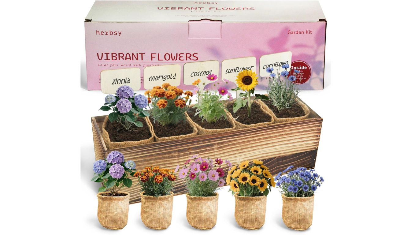 Herbsy flower growing kit with six blooming varieties in burlap pots arranged in a wooden planter box.