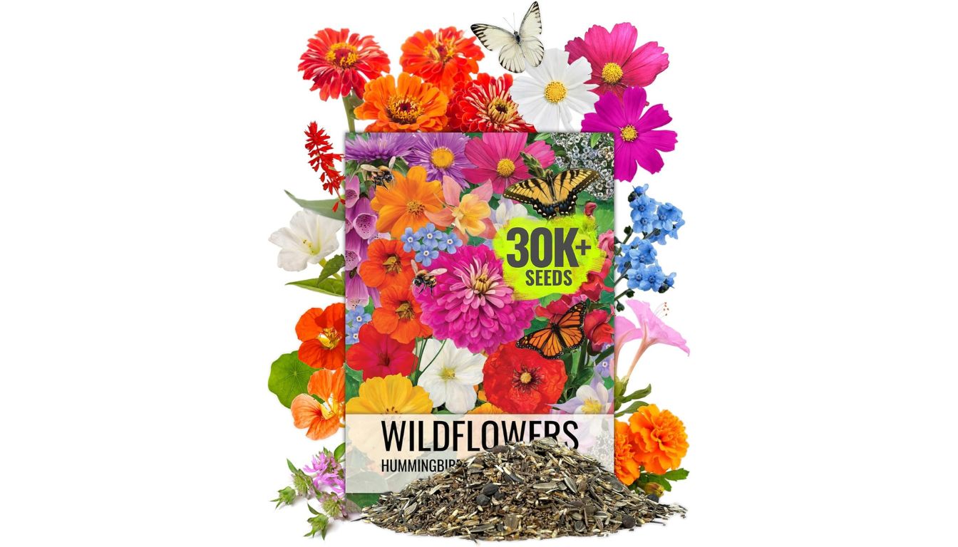 Bragg Marine Algae Omega-3 Mini Vegan Softgels bottle with 550mg Omega-3 for heart health.