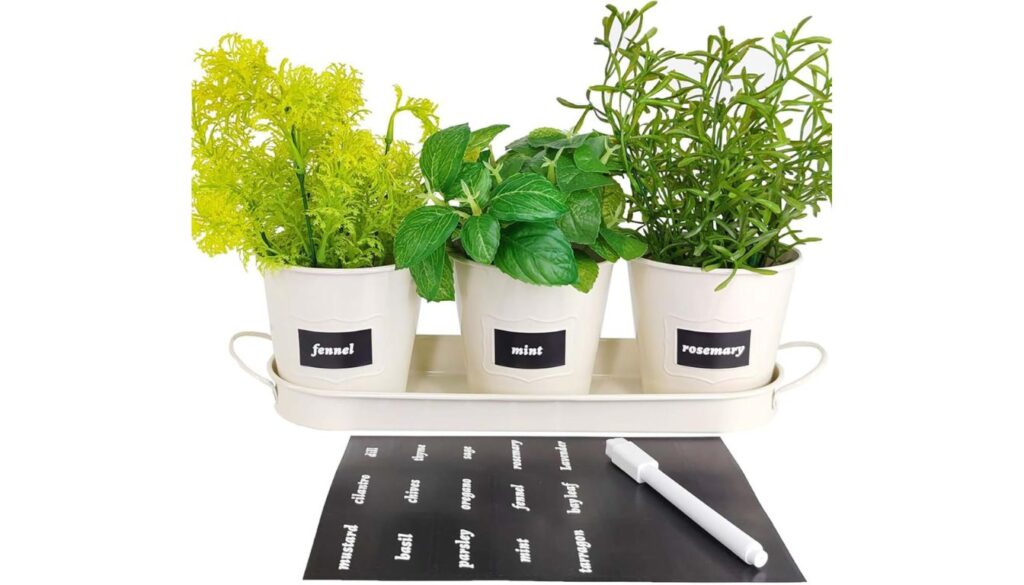Indoor herb garden kit with labeled white pots for fennel, mint, and rosemary on a tray