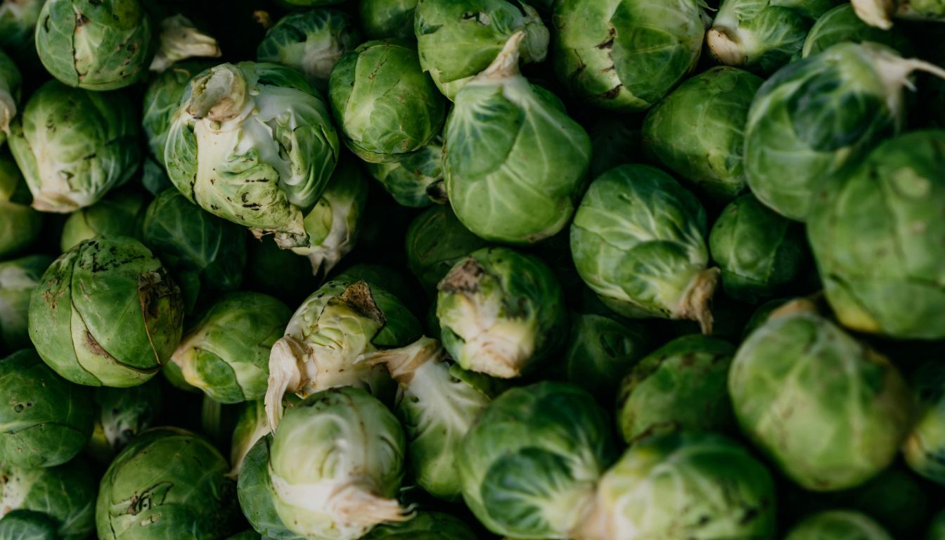 Freshly harvested Brussels sprouts piled together, showing their round shape, layered leaves, and natural blemishes.