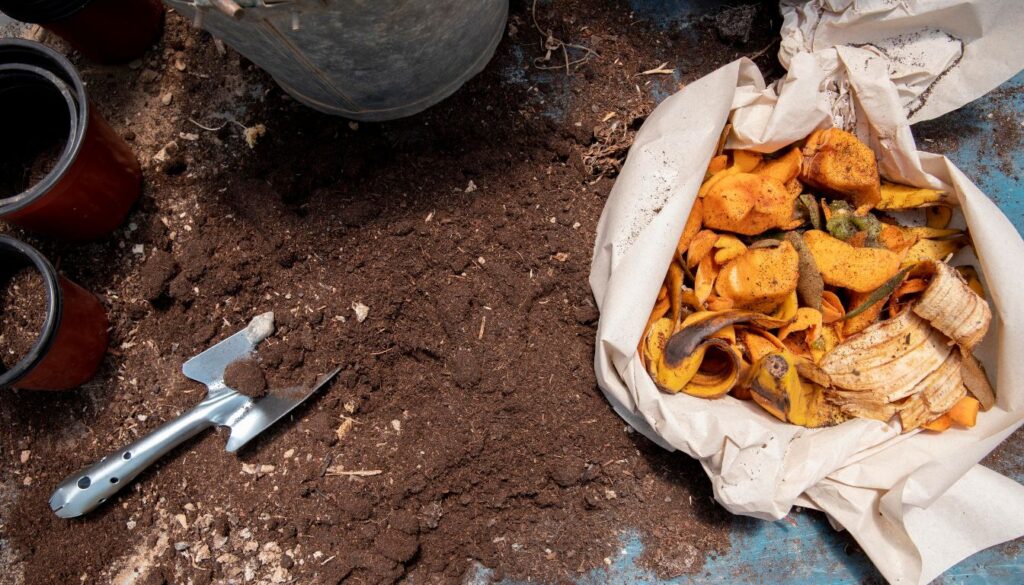 Bokashi Ferment Alternative: Sustainable Solution