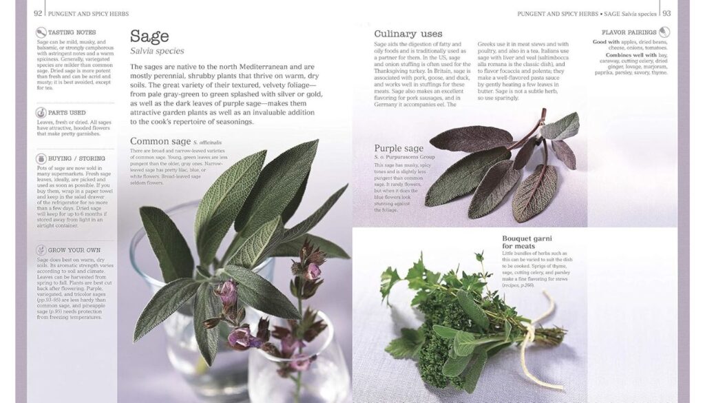 DK Herbs & Spices: The Cook Reference Guide Review