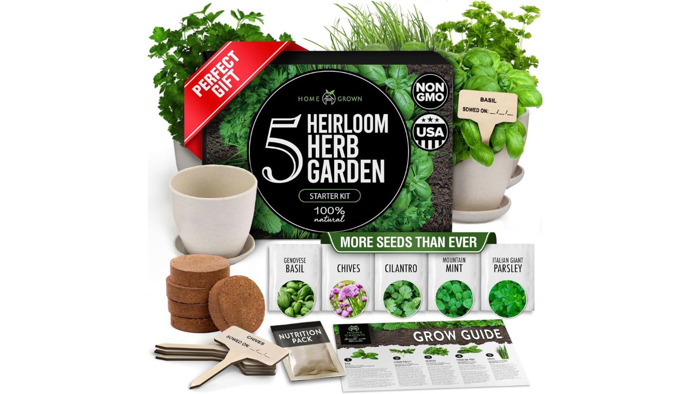 HOME GROWN 5-herb starter kit with seed packets, biodegradable pots, and grow guide