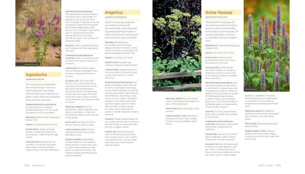 Homegrown Herbs The Ultimate Garden Guide Review