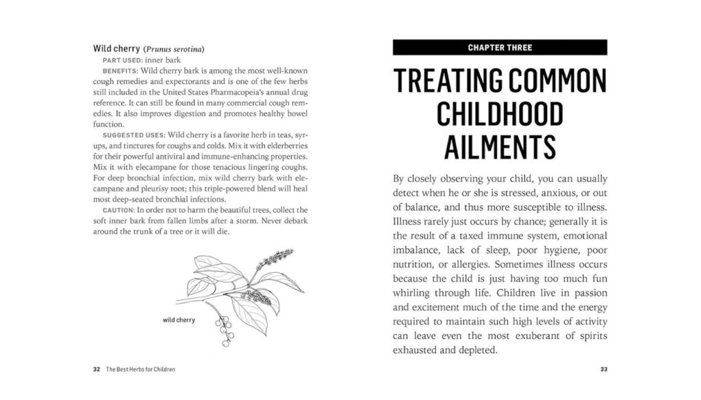 Storey BASICS Herbs for Children's Health Guide Review