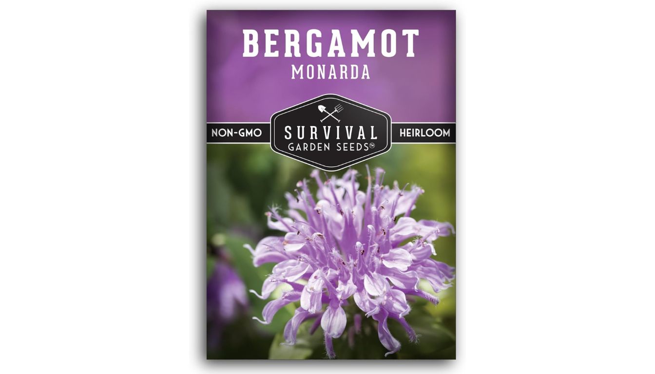 Survival Garden Seeds bergamot seed packet with heirloom, non-GMO label and blooming purple Monarda flower