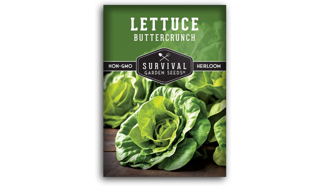 Survival Garden Seeds Buttercrunch Lettuce seed packet with heirloom, non-GMO label and fresh green lettuce heads