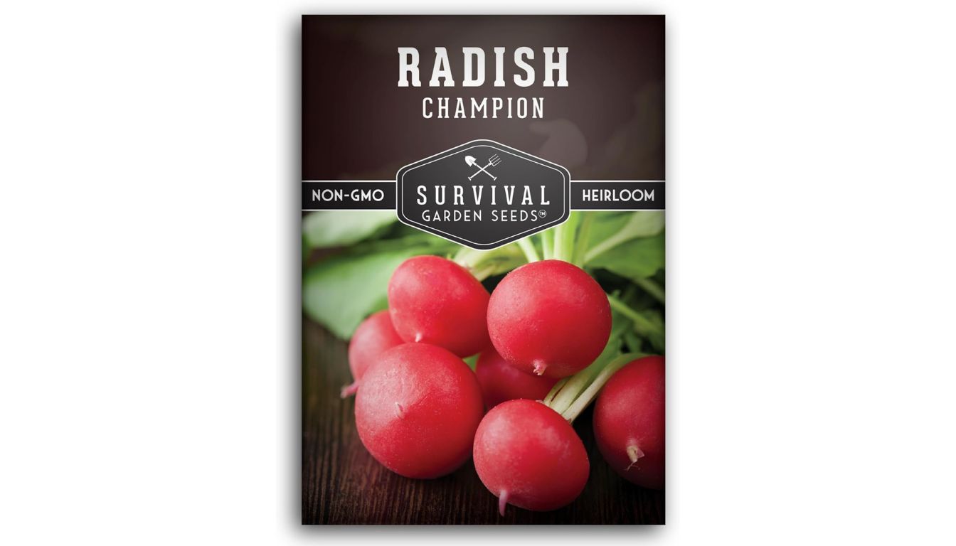 Survival Garden Seeds Champion Radish seed packet with heirloom, non-GMO label and fresh red radishes with green tops