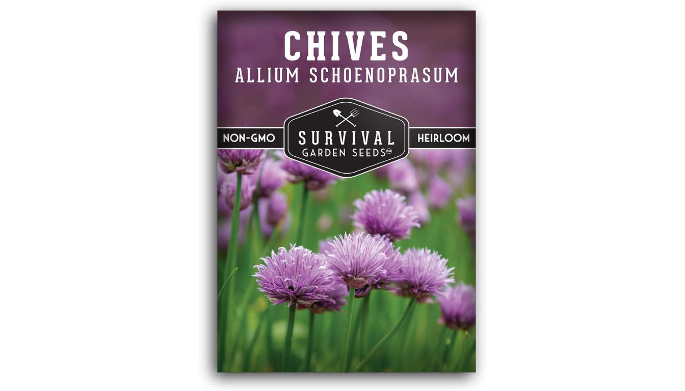 Survival Garden Seeds chive seed packet with heirloom, non-GMO label and blooming purple Allium schoenoprasum flowers