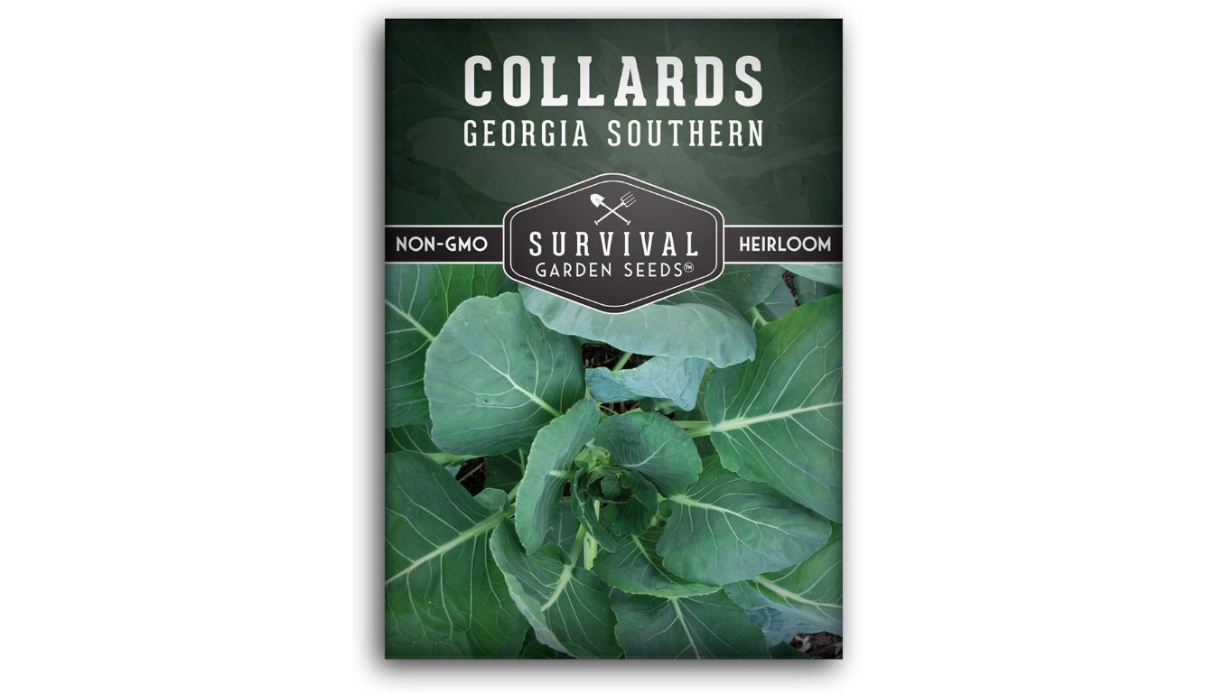 Survival Garden Seeds Collard Green seed packet with heirloom, non-GMO label and vibrant Georgia Southern collard leaves