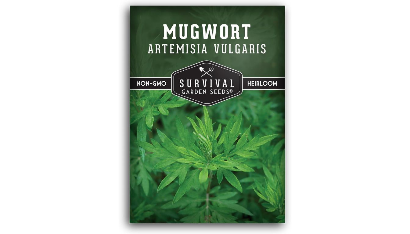 Survival Garden Seeds mugwort seed packet with heirloom, non-GMO label and leafy green Artemisia vulgaris plant