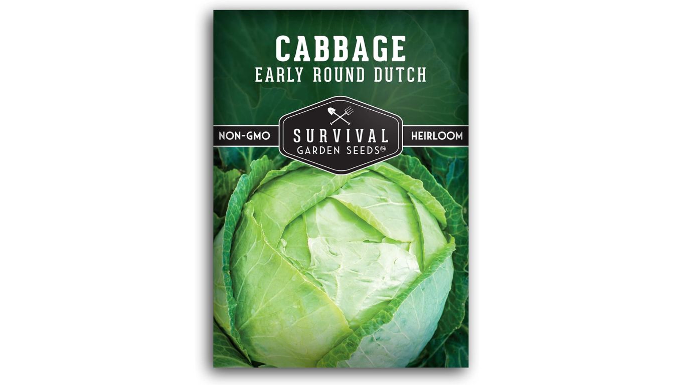 Survival Garden Seeds Early Round Dutch Cabbage seed packet with heirloom, non-GMO label and fresh green cabbage heads