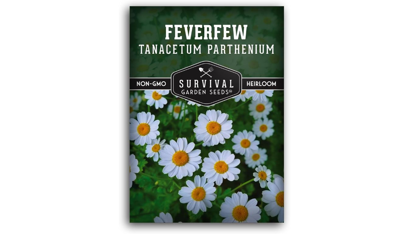 Survival Garden Seeds Feverfew seed packet with heirloom, non-GMO label and blooming white and yellow Tanacetum parthenium flowers