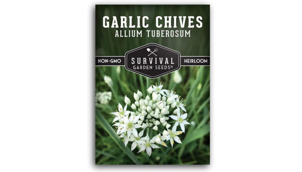 Survival Garden Seeds garlic chives seed packet with heirloom, non-GMO label and white Allium tuberosum flowers