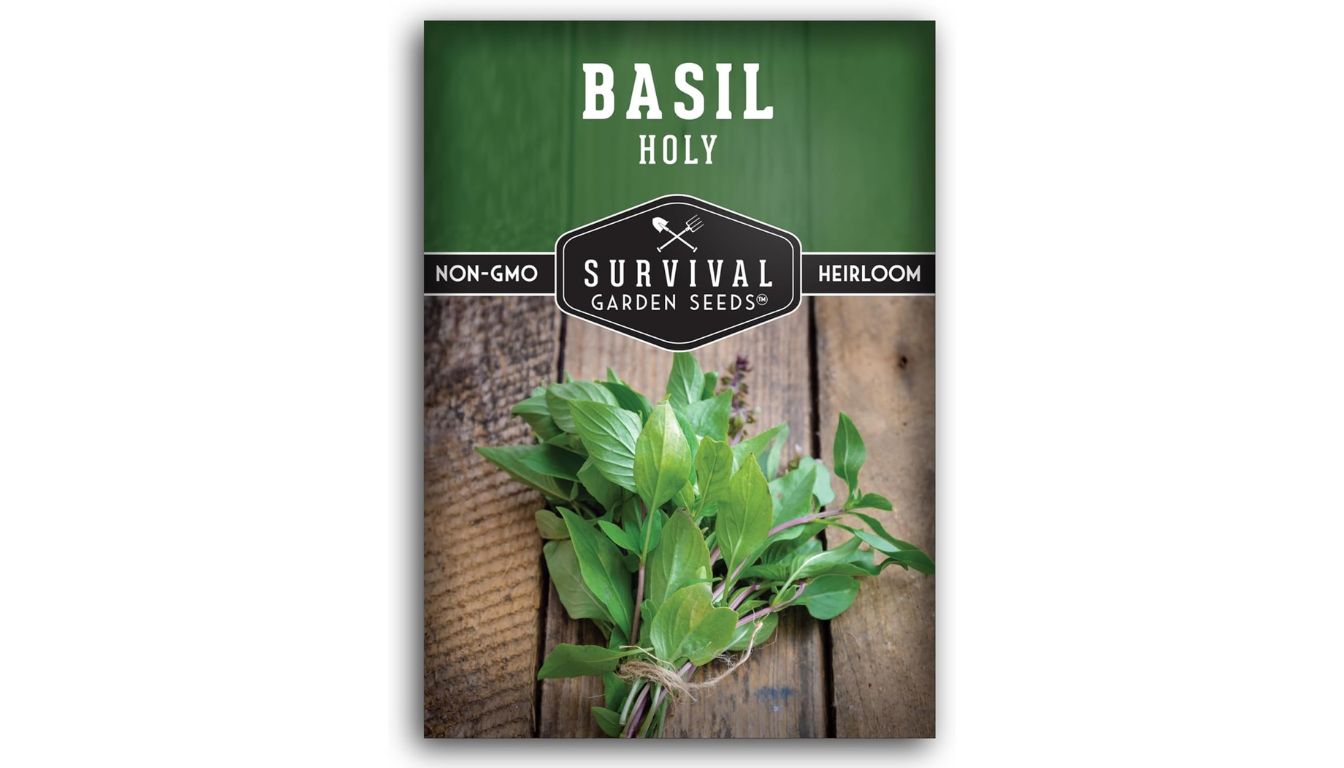 Survival Garden Seeds holy basil seed packet with heirloom, non-GMO label and fresh green leaves tied with twine