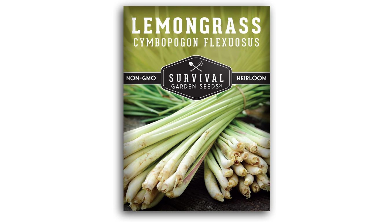 Survival Garden Seeds lemongrass seed packet with heirloom, non-GMO label and fresh Cymbopogon flexuosus stalks