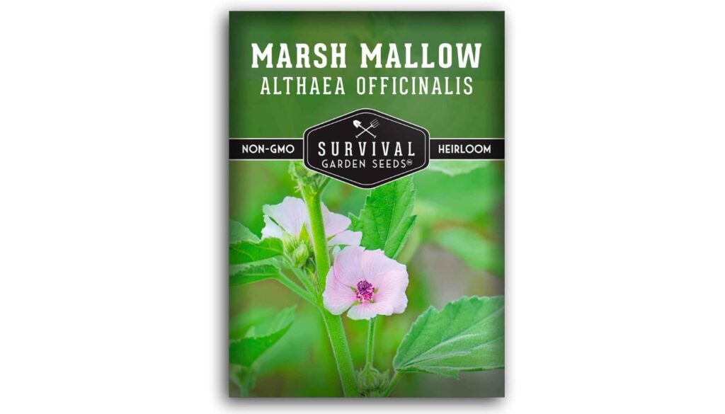 Survival Garden Seeds marsh mallow seed packet with heirloom, non-GMO label and pink Althaea officinalis flowers