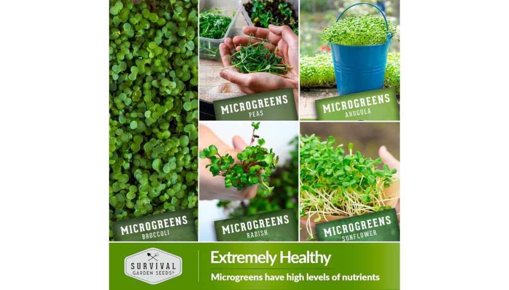 Survival Garden Seeds Microgreen Variety Pack Review