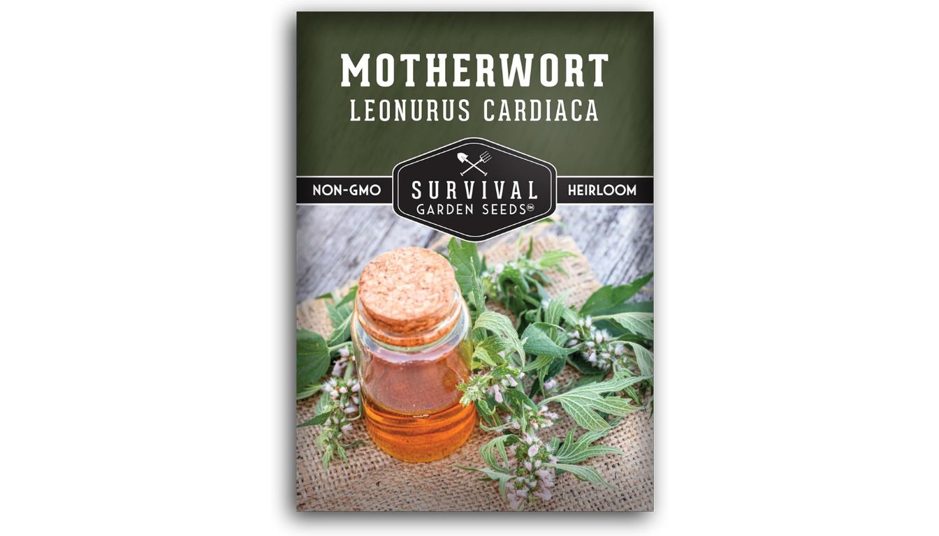 Survival Garden Seeds motherwort seed packet with heirloom, non-GMO label and fresh sprigs beside herbal tincture