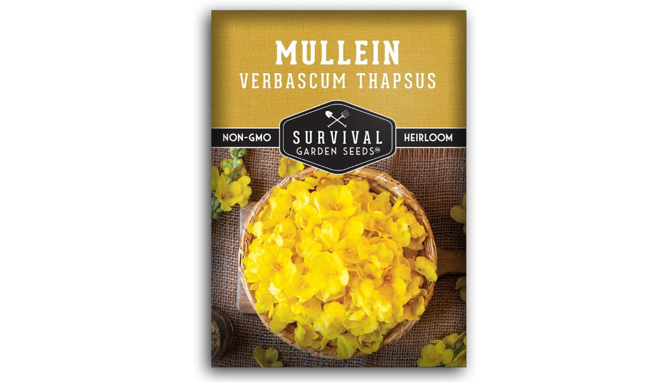 Survival Garden Seeds mullein seed packet with heirloom, non-GMO label and yellow Verbascum thapsus flowers