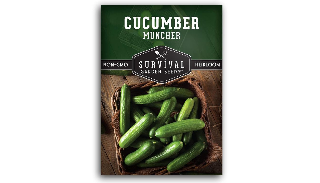 Survival Garden Seeds Muncher Cucumber seed packet with heirloom, non-GMO label and fresh green cucumbers in a basket