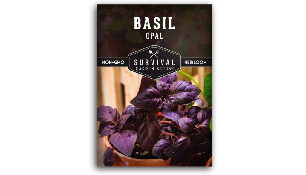 Survival Garden Seeds Opal Purple Basil seed packet with heirloom, non-GMO label and deep purple basil leaves in a terracotta pot