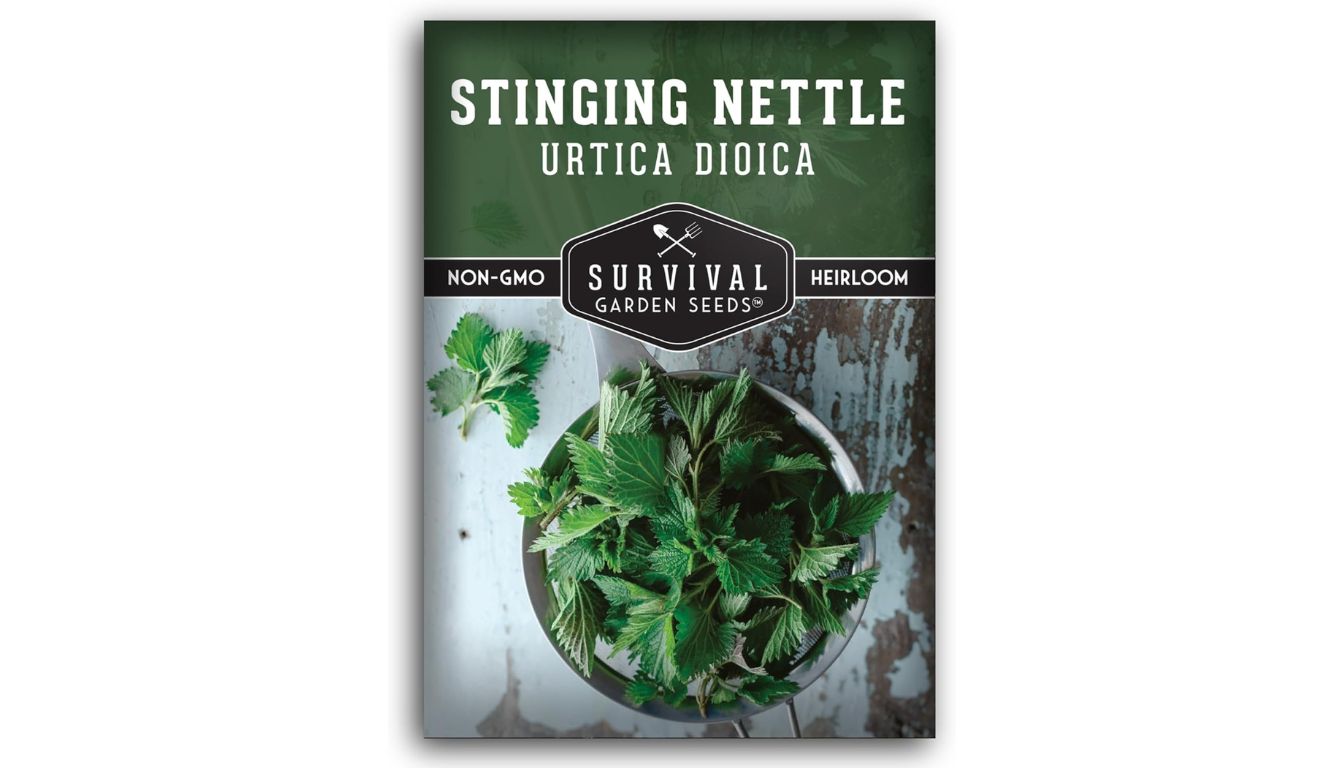 Survival Garden Seeds stinging nettle seed packet with heirloom, non-GMO label and fresh green Urtica dioica leaves