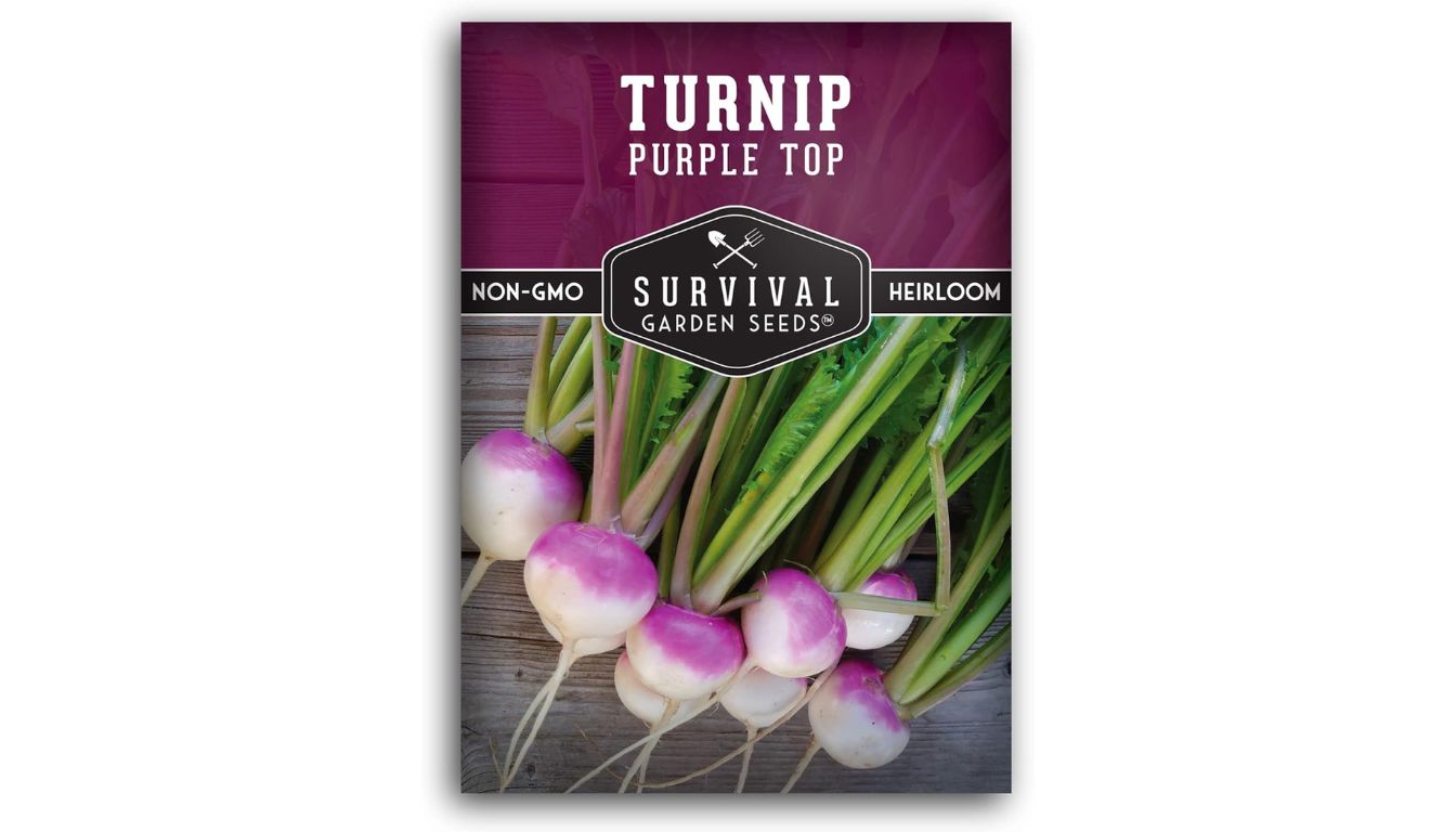 Survival Garden Seeds Turnip Purple Top seed packet with heirloom, non-GMO label and fresh turnips on wooden surface