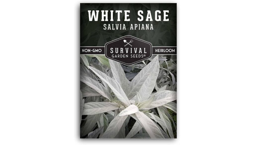Survival Garden Seeds white sage seed packet with heirloom, non-GMO label and silvery green leaves