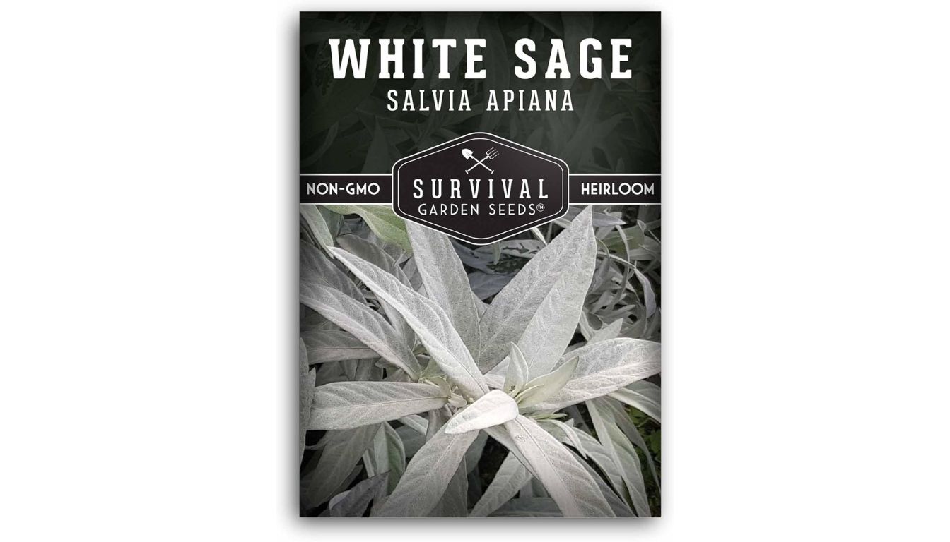 Survival Garden Seeds white sage seed packet with heirloom, non-GMO label and silvery green leaves