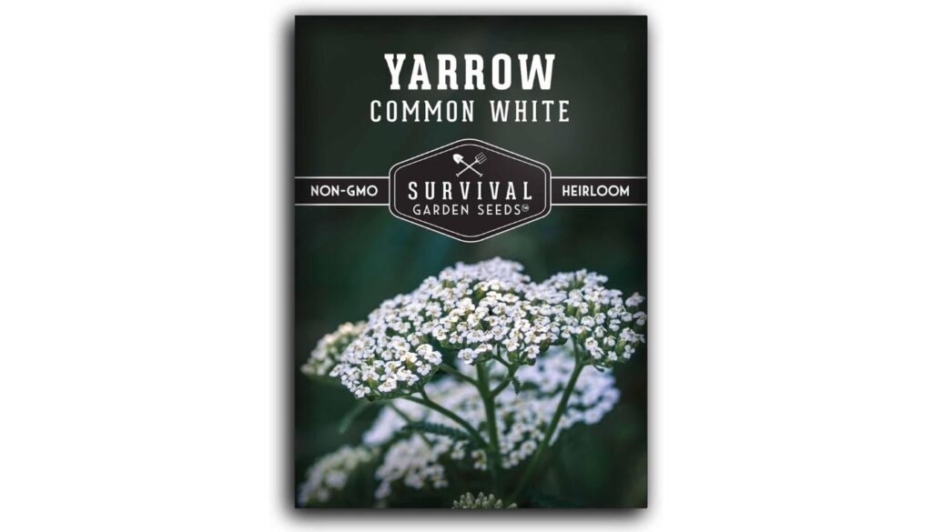 Survival Garden Seeds yarrow seed packet with heirloom, non-GMO label and blooming white flowers