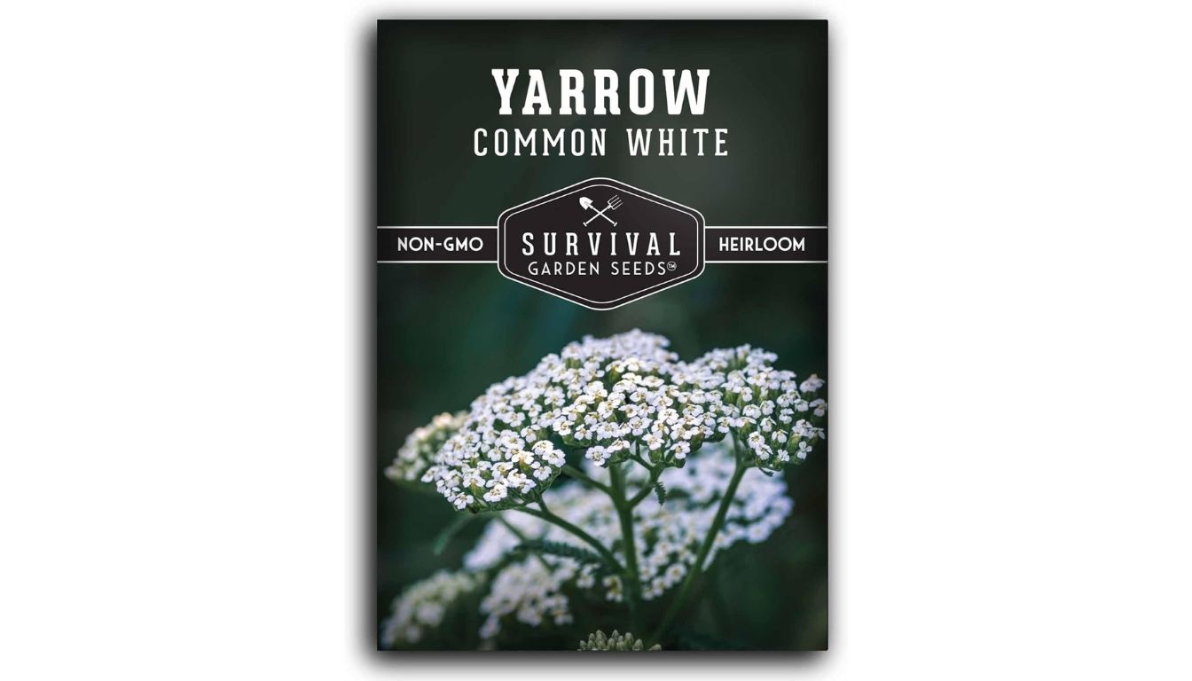 Survival Garden Seeds yarrow seed packet with heirloom, non-GMO label and blooming white flowers